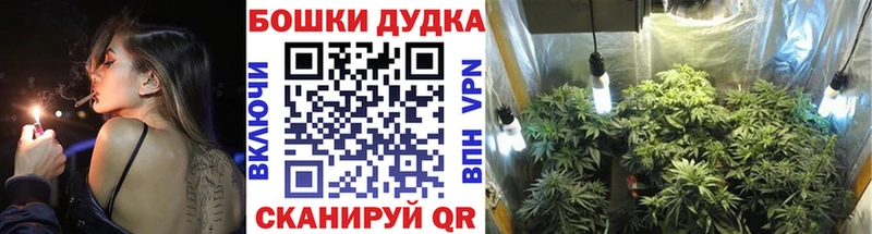 Где можно купить наркотики Бобров Псилоцибиновые грибы  Cocaine  Бутират  ГАШ  Конопля  АМФЕТАМИН  Alpha-PVP 