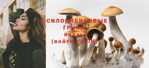 таблы Белоозёрский