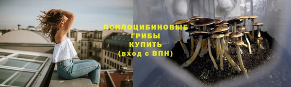 крисы Беломорск