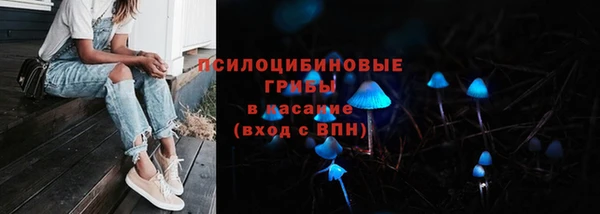 крисы Беломорск